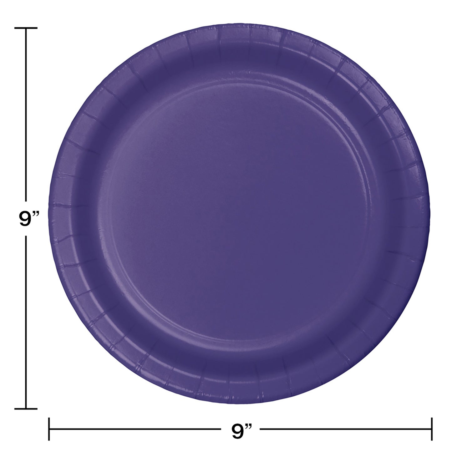 Purple SturdyStyle Dinner Plates 240 ct
