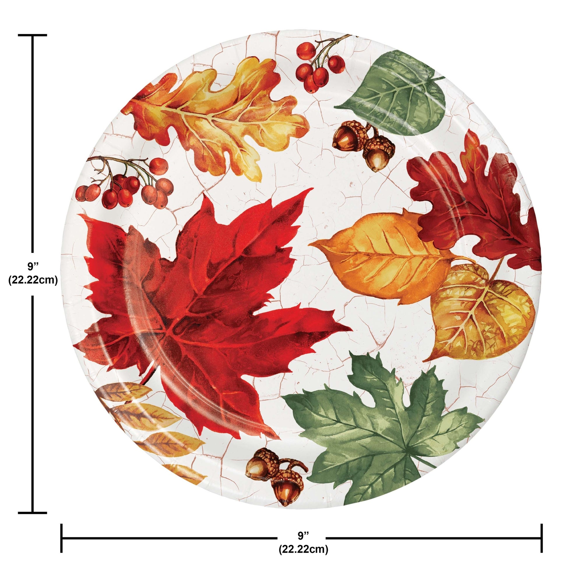 Autumn Air Dinner Paper Plates 96 ct. Round paper plate with autumn leaf design and measurements